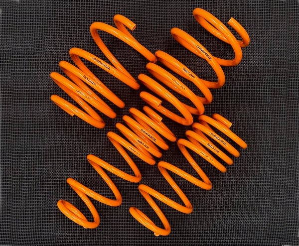 SEEKER SAS DOWN SPRINGS FOR HONDA CIVIC TYPE-R FL5 13010-FL5-000