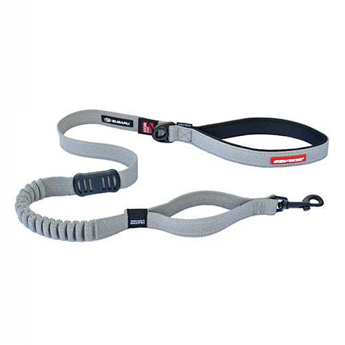 SUBARU EASY DOG ZERO SHOCK 120CM GRAY FHST22005803 