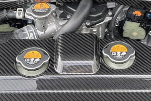 HKS CARBON RADIATOR COVER FOR NISSAN FAIRLADY Z RZ34 VR30DDTT 70026-AN003