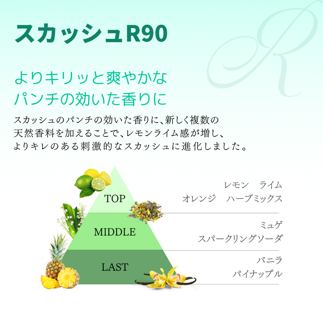 AIR SPENCER CAR AIR FRESHENER A203 SQUASH R90 59203