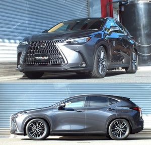RS-R BEST-I COILOVER SUSPENSION RECOMMENDED SPRING RATE FOR LEXUS NX250 AAZA20 BIT524M