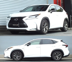 RS-R BEST-I ACTIVE COILOVER SUSPENSION RECOMMENDED SPRING RATE FOR LEXUS NX200T AGZ10 BIT534MA