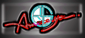 RE-AMEMIYA SUPER INTAKE BOX FILTER FOR MAZDA RX-8 P0-992033-071