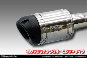 WIRUS WIN D-PRIME MUFFLER EXHAUST POLISH STAINLESS STEEL SPECIFICATION BILLET TYPE FOR SUZUKI CARRY 3BD-DA16T KOUKI WIRUS-WIN-00077