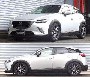 RS-R BASIC-I COILOVER SUSPENSION RECOMMENDED SPRING RATE FOR MAZDA CX-3 DKEFW BAIM401M