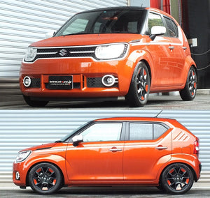 RS-R BEST-I C&K COILOVER SUSPENSION RECOMMENDED SPRING RATE FOR SUZUKI IGNIS FF21S BICKS500M