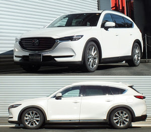 RS-R BASIC-I COILOVER SUSPENSION RECOMMENDED SPRING RATE FOR MAZDA CX-8 KG2P BAIM301M