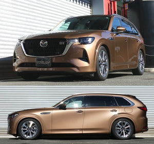 RS-R BASIC-I COILOVER SUSPENSION RECOMMENDED SPRING RATE FOR MAZDA CX-80 KL3R3P BAIM320M