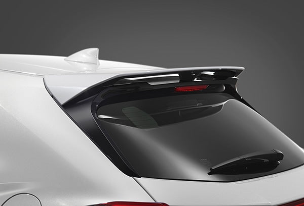 TRD ROOF SPOILER UNPAINTED FOR LEXUS UX MS342-76002-NP