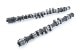 RSE CAMSHAFT SET SPEC-R 306 290-11.00 10.00 FOR TOYOTA 4A-G 5 VALVE RA301A-TY02C