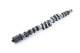 RSE CAMSHAFT SPEC-S EX 258-8.15 FOR TOYOTA 4AG 5VALVE RA301E-TY02A