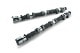 RSE CAMSHAFT SET SPEC-R 272-10.25 SOLID FOR NISSAN VG30DE(TT) RA301A-NS10A