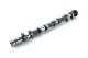RSE CAMSHAFT SPEC-S IN 262-10.30 FOR HYUNDAI G4KF RA301C-HY01A
