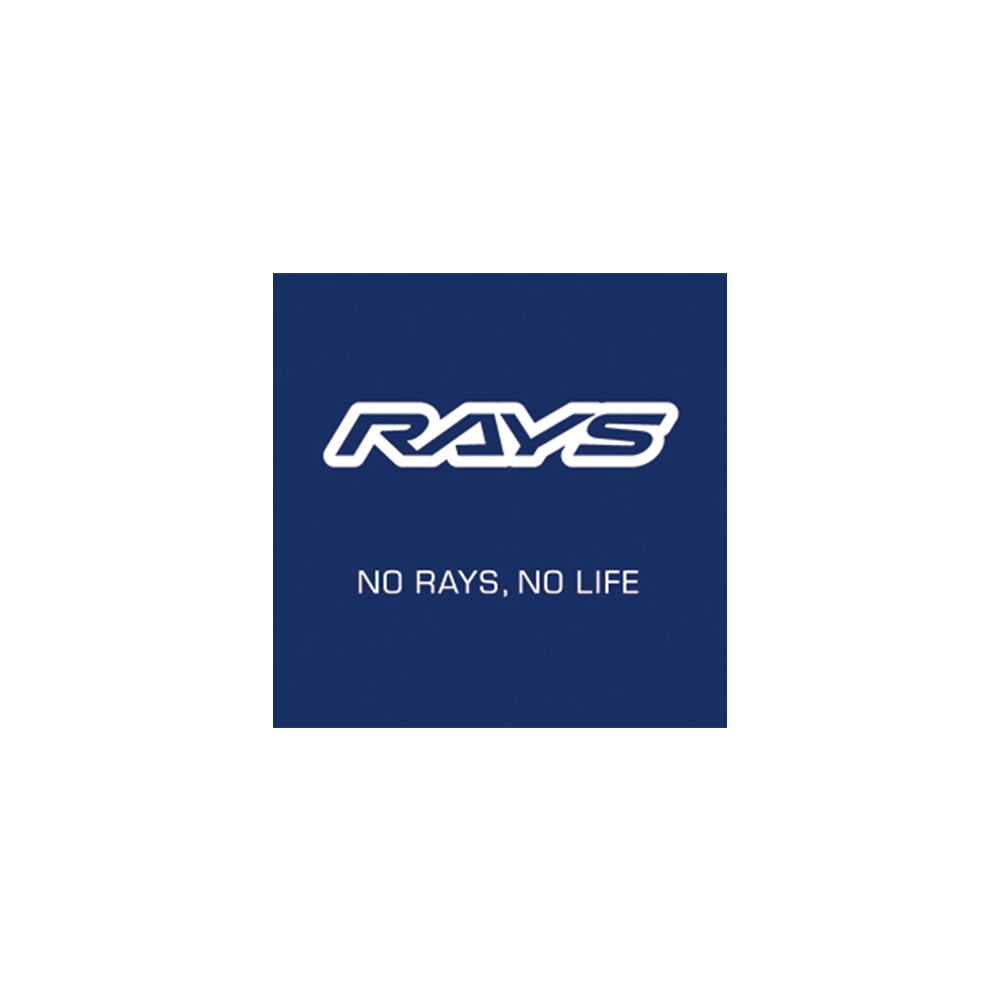 RAYS NO.34 STICKER NO RAYS,NO LIFE 100X100MM FOR  7404022000034
