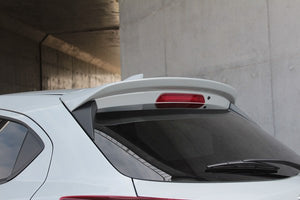 GARAGE VARY REAR ROOF SPOILER FOR MAZDA2 DJ 21-2007