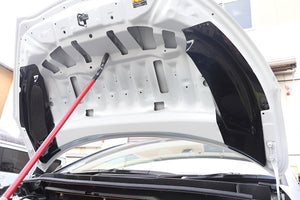 GARAGE VARY BONNET DUCT RAIN GUARD SET FRP FOR TOYOTA GR YARIS GXPA16 10 30-8021