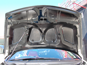 TOP FUEL CARBON BONNET FOR HONDA FIT GD1 2 3 4