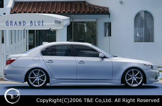 CAR MAKE T&E SIDE STEP (BMW 5 SERIES) FOR  CARMAKETE-02437