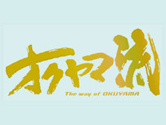 OKUYAMA OKUYAMA STYLE STICKER M MIRROR GOLD 384-002-0