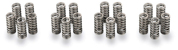 TODA RACING Up Rated Valve Springs  For LEVIN  TRUENO for AE101 4AG-5valve 14750-101-000