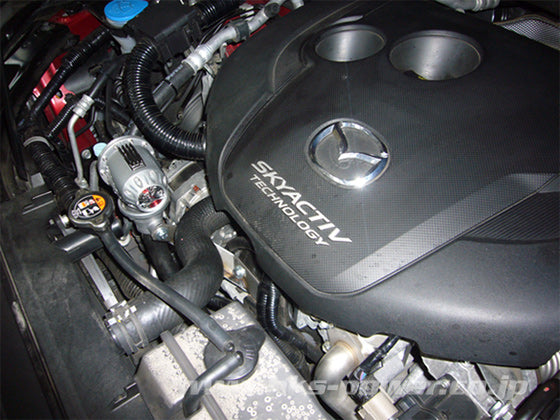 HKS SUPER SQV4  For MAZDA AXELA BM2FS BM2FP SH-VPTR 71008-AZ010