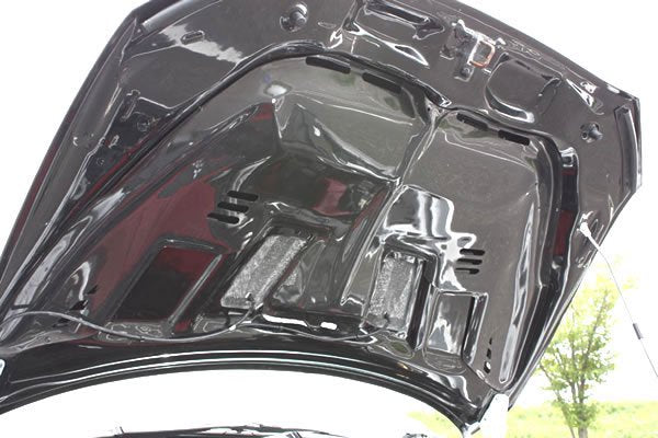 GARAGE VARY RAIN GUARD FOR LANCER EVO X CZ4A 30-0007