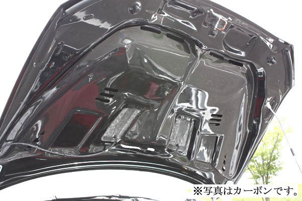 GARAGE VARY RAIN GUARD FOR LANCER EVO X CZ4A 30-0008