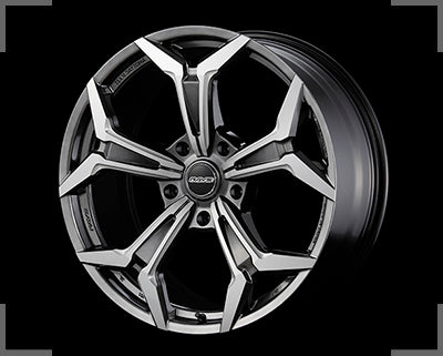 RAYS TEAM DAYTONA FANG 22x10 +48(46) 5x150 D Shining Silver Composite Mach x1