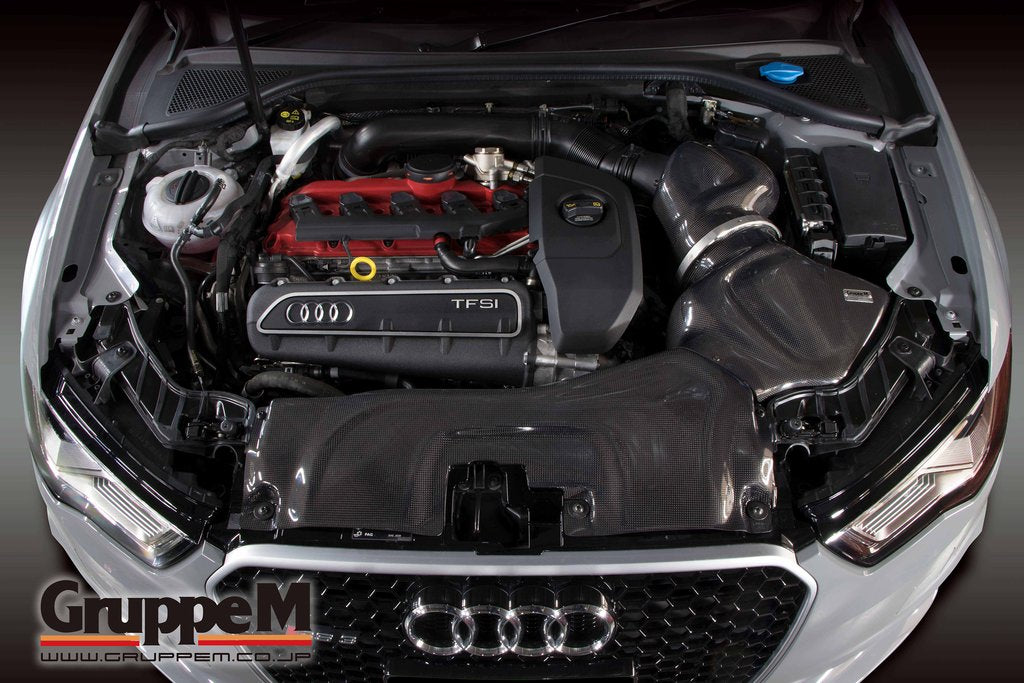 GRUPPEM RAM AIR SYSTEM  For AUDI RS3 8VCZGF FRI-0220