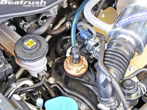 LAILE BEATRUSH OIL CATCH TANK For HONDA N-ONE JG1 S94900CT