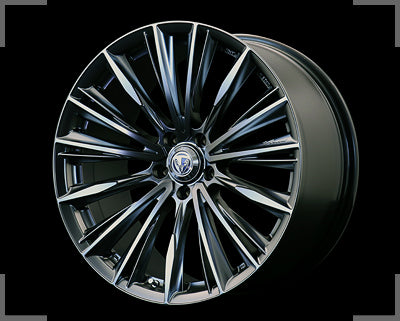 RAYS VERSUS VOUGE 19x8 +45(44) 5x114.3 FROZEN METAL COATING x1