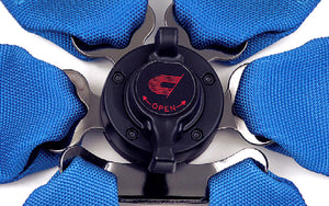 CUSCO RACING 6 POINT HANS FHR HARNESS SEATBELT RED FOR  00B CRH N6HRD