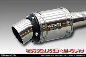 WIRUS WIN D-PRIME MUFFLER EXHAUST POLISH STAINLESS STEEL SPECIFICATION SPORTS TYPE FOR DAIHATSU HIJET TRUCK V-S100P V-S100C V-S100CT V-S110P V-S110C V-S110CT EF-NS EF-GS WIRUS-WIN-00033