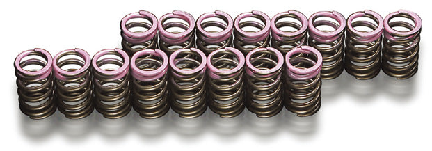 TODA RACING Up Rate Valve Spring  For S2000 F20C F22C 14750-F20-000
