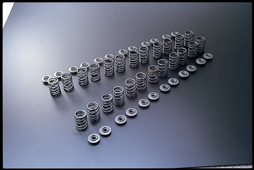 TOMEI VALVE SPRING B-TYPE  For SKYLINE GT-R BNR32 BCNR33 BNR34 RB26 173002