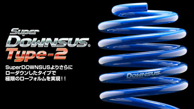 ESPELIR SUPER DOWNSUS TYPE2 SPRINGS REAR FOR MAZDA AXELA AXERA BK3P L3-VE ESM-2624R