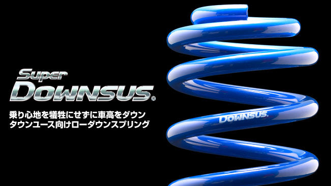 ESPELIR SUPER DOWNSUS SPRINGS REAR FOR HONDA CIVIC TYPE R EP3 K20A ESH-692R