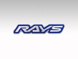 RAYS RAYS Logo Wappen
